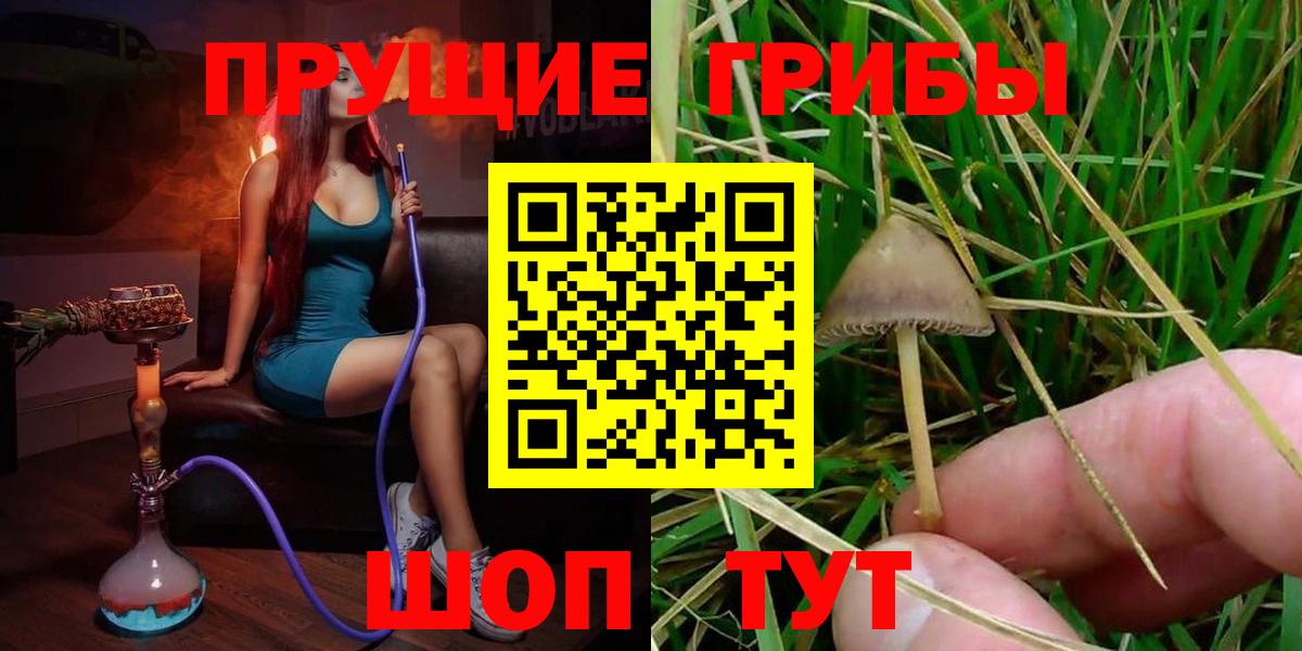 Псилоцибиновые грибы GOLDEN TEACHER Калач-на-Дону