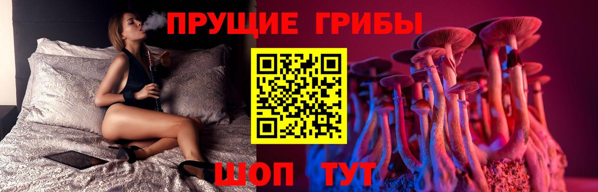 Псилоцибиновые грибы мухоморы  Вход с VPN  Псилоцибиновые грибы Psilocybe  Калач-на-Дону 